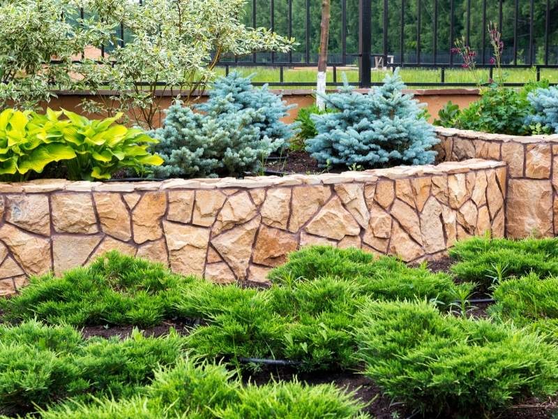 Ways To Ensure You Get The Right Landscape Gardener
