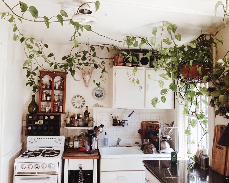 Change A Run-of-the-plant Look With Kitchen Pendant