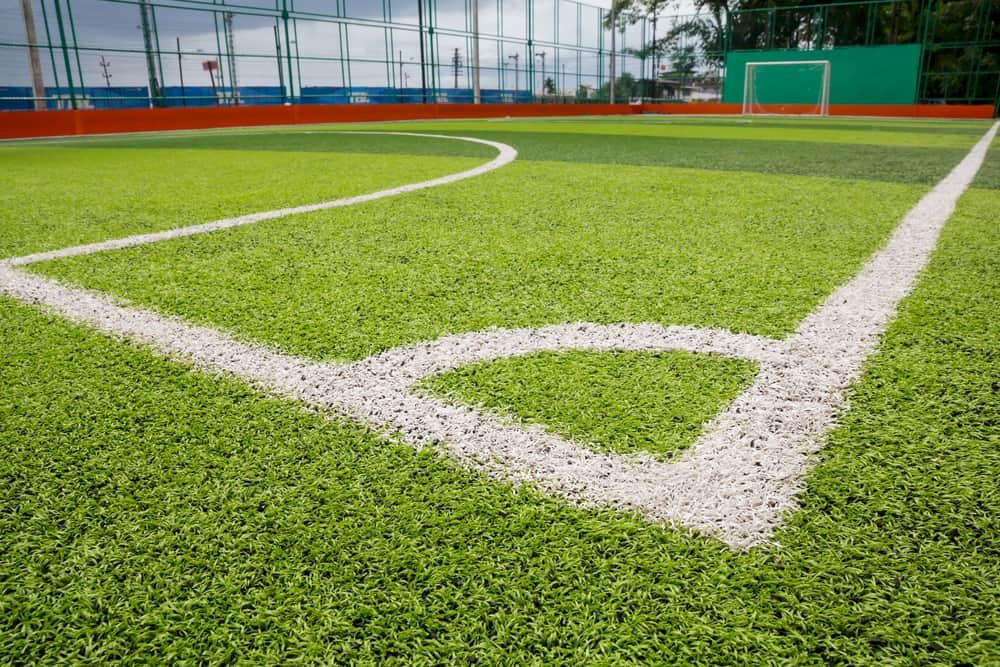 Things You Need to Know About Artificial Turf