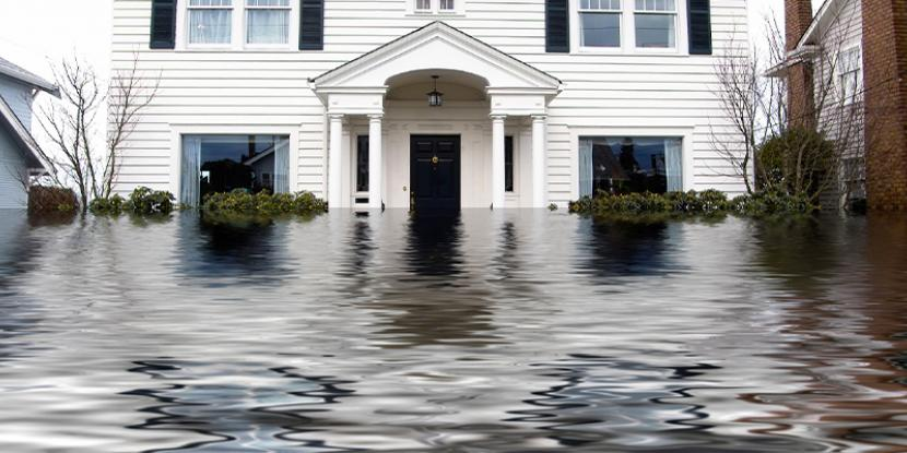 Flood Damage Solutions in the Right Format