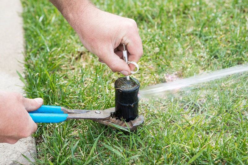 Expert Suggestions For Improving The Performance Of Your Sprinkler System