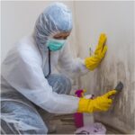 10 Benefits of Hiring a Professional Mould Specialist for Commercial Spaces