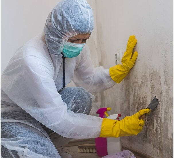 10 Benefits of Hiring a Professional Mould Specialist for Commercial Spaces