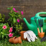 Essential Tools Every Gardener Should Own