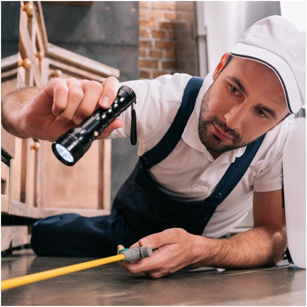 Top 8 Pest Control Errors to Avoid in Restaurant Environments