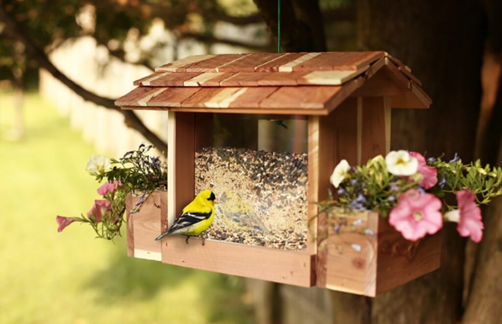 How to Make a Bird Feeder for Your Home Garden